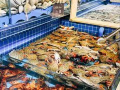 -乔哥铭洋海鲜自助(皇城恒隆广场店)