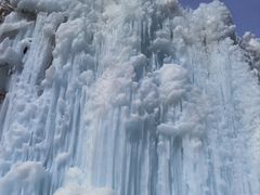 -陕西省红河谷森林公园