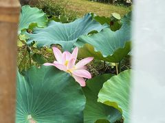 -尚湖风景区