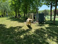 -爪吧宠物乐园 (温榆河示范区店)