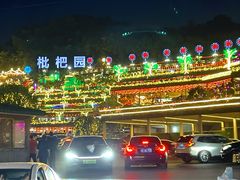 -枇杷园食为鲜火锅(南山店)