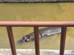 -青藏高原野生动物园