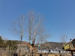 -大连森林动物园