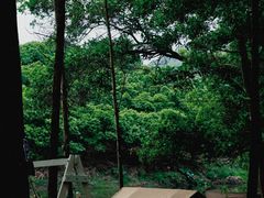 -大屏嶂森林公园