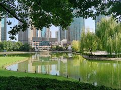-陆家嘴中心绿地
