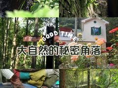 -莫干山风景区
