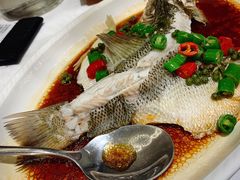 清蒸鲈鱼-湛江菜.江南首席(昆山店)