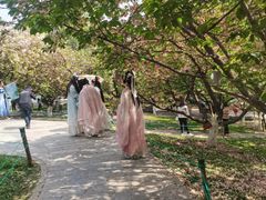 -西安青龙寺遗址景区