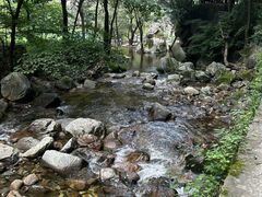 -少华山国家森林公园