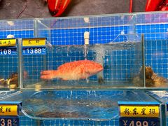 -秦皇岛香格里拉·秦香阁