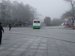 -九龙江国家森林公园