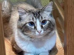 -白兔子密室(长寿路店)