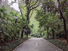 -春兰国宾馆(凤城河风景区老街店)