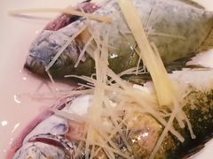 -青蓬蒸汽海鲜·深圳老字号·团建聚会(壹方城店)