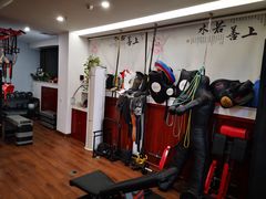 -温鉴良实用咏春拳