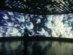 -同济大学四平路校区深海探索馆