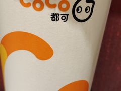 -CoCo都可(大华二店)