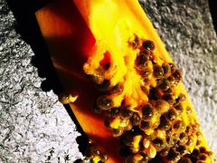 -海天牧场(银川商城店)