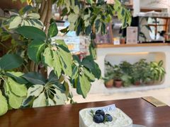 -AHAVA·Fang Baking Studio