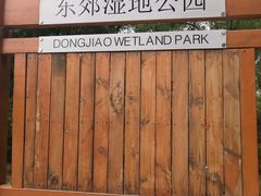 -东郊湿地公园