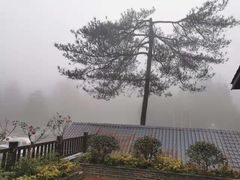 -大围山国家森林公园