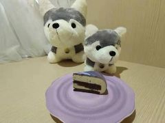 -Husky Go! 哈士奇体验馆·宠物咖啡厅狗咖