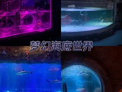 -沈阳海洋探索中心