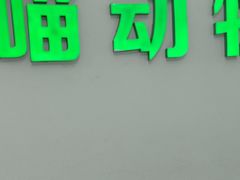 -汪喵宠物医院·骨科心脏影像·犬猫急重症ICU诊疗中心(成华分院)