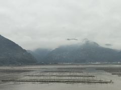 -北岐滩涂