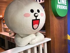 -line friends(明洞旗舰店)