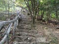 -梧桐山风景名胜区