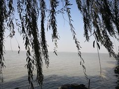 -湖鲜楼