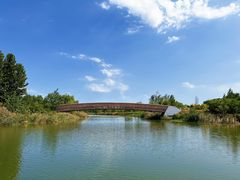 -马家湾湿地公园