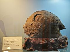 -中国第四纪冰川遗迹陈列馆