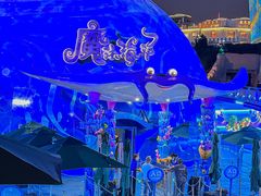 -海合安青岛极地海洋公园
