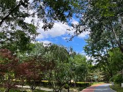 -大兴滨河森林公园