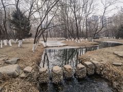 -长白岛森林公园