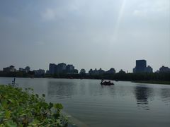 -莲花池公园