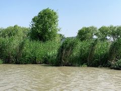 -长兴太湖图影湿地文化园