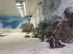 -悉尼海洋生物水族馆