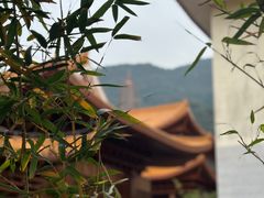-深圳仙湖植物园