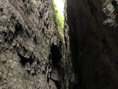 -武陵山森林公园