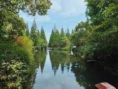 -东平国家森林公园