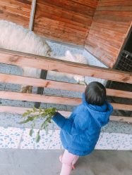 点击看大图 -可可天空农场(东部新城银泰店)