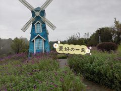 -铁山坪森林公园