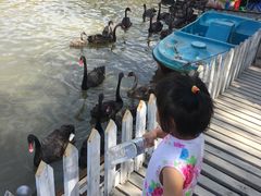 -新疆天山野生动物园