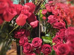 -深圳威尼斯英迪格酒店