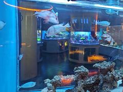 -上和臻品中国菜(花园街店)