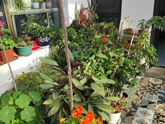 -北京龙庆四季香农家饭庄·灶台鱼·碳烤虹鳟鱼(龙庆峡店)