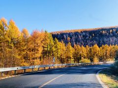 -塞罕坝国家级自然保护区